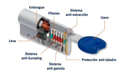 amaestramiento-de-bombines